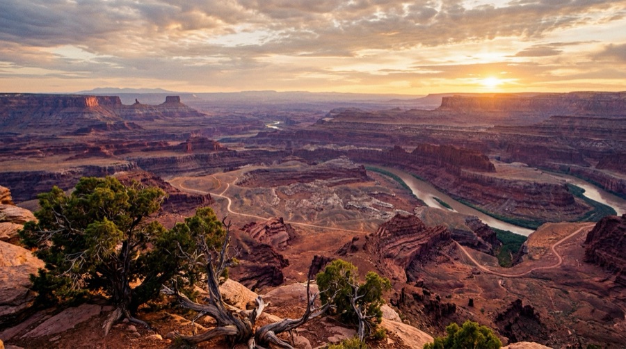 A sweeping desert canyon vista at golden hour